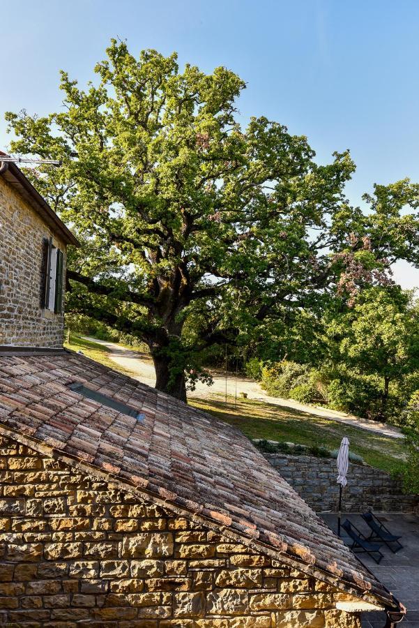 Momjan L'Abbraccio Della Quercia 아파트 외부 사진